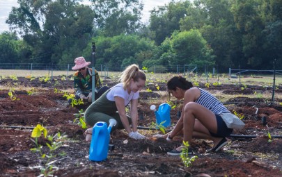 Community Planting