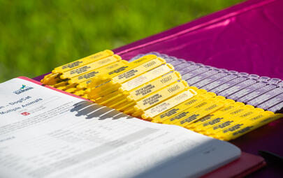 paperwork