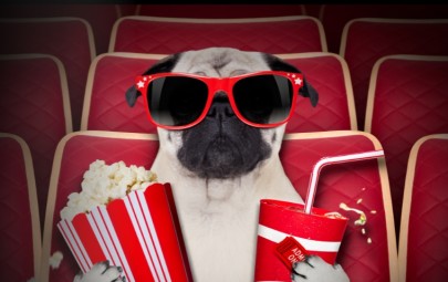 A banner showing a dog enjoying popcorn and drink while he watches a movie.