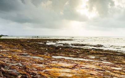 Rocky beach