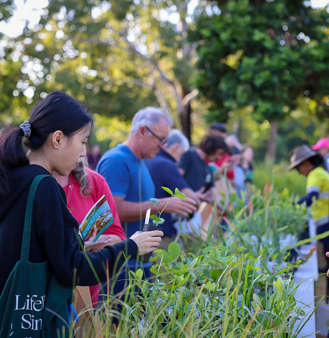 native plant giveaway