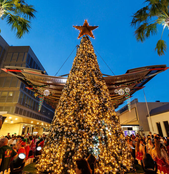 LM tree lighting 2025