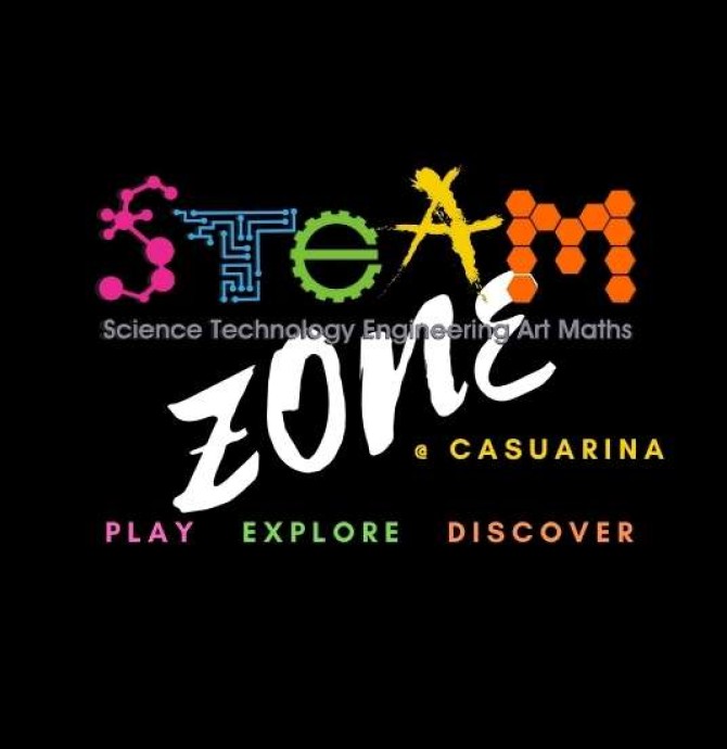 steam zone cas logo