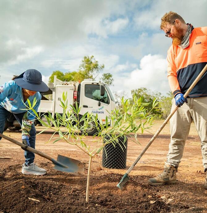 Tree Planting