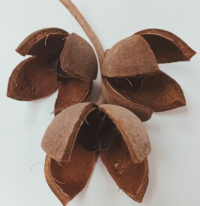 Christmas Craft