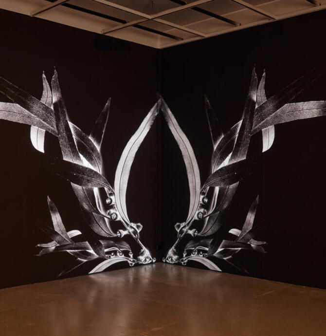 JENNA MAYILEMA LEE: OF SMOKE AND RAIN