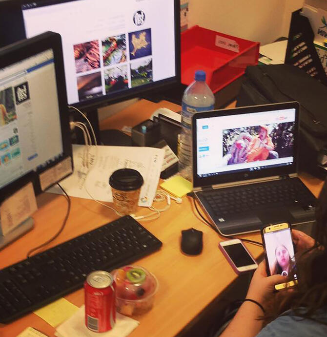 Young person viewing social media on four different screens