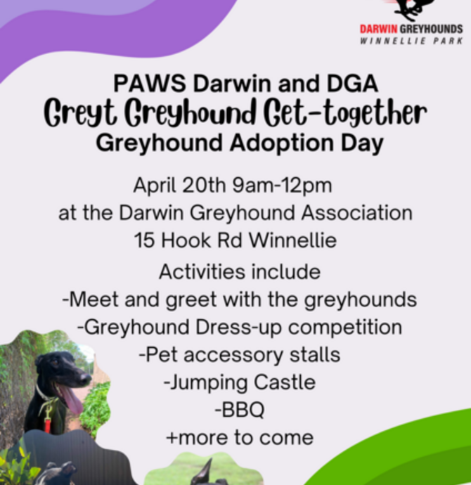 Greyt Greyhound Get-together