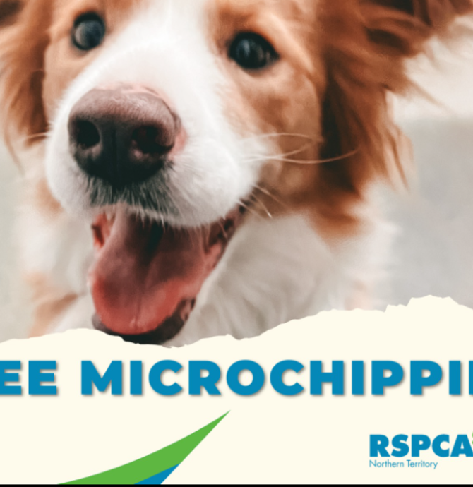 Microchipping Day with RSPCA