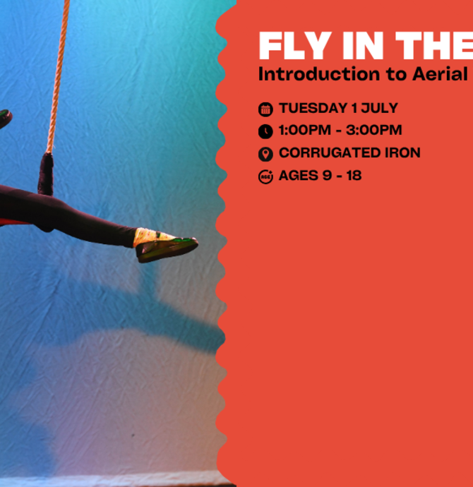 FLY IN THE AIR