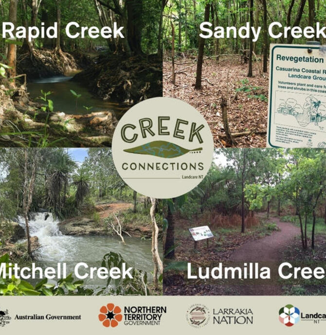 Creek Connections — Birdwatching for Beginners