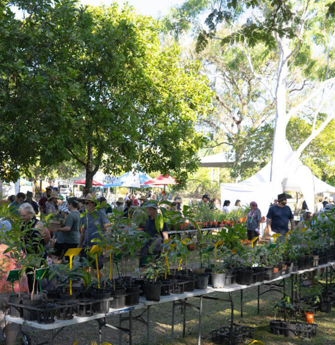 Top End Native Eco Fair & Plant Sale