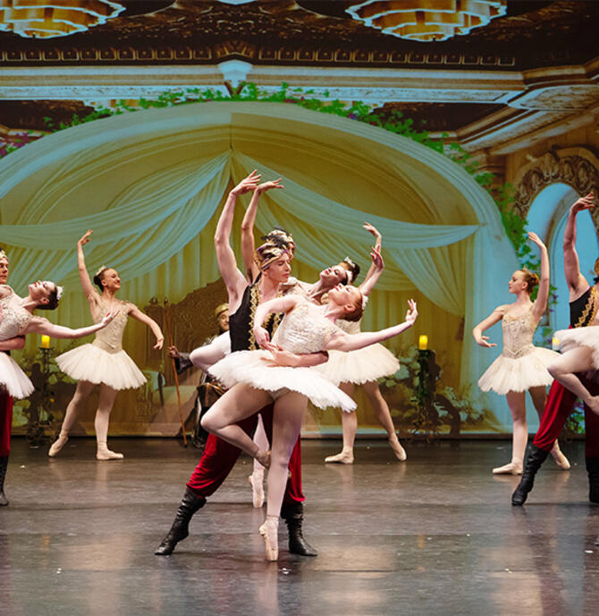 Victorian State Ballet - Aladdin