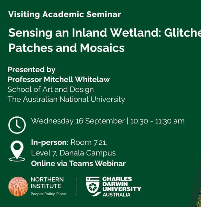Sensing an Inland Wetland: Glitches, Patches and Mosaics