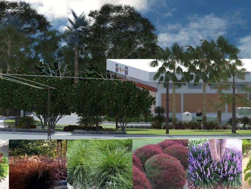 City of Darwin - Landscaping of Moil Shopping Centre Park and frontage -  Gallery image