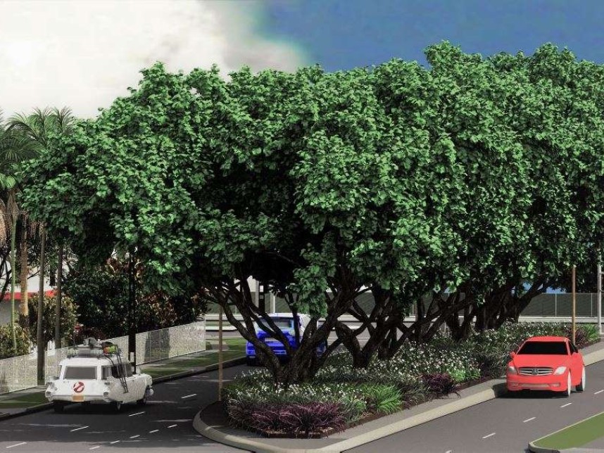 City of Darwin - Stage 2 Bradshaw Terrace Landscaping -  Gallery image
