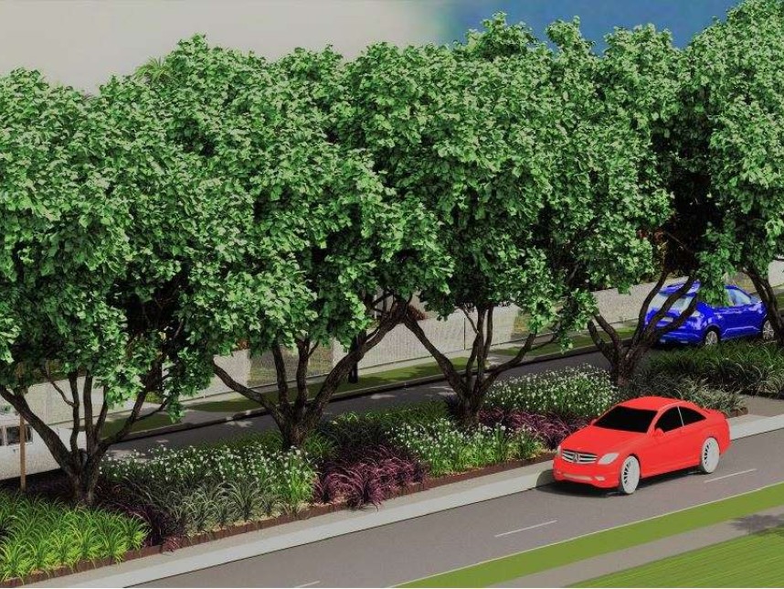 City of Darwin - Stage 2 Bradshaw Terrace Landscaping -  Gallery image