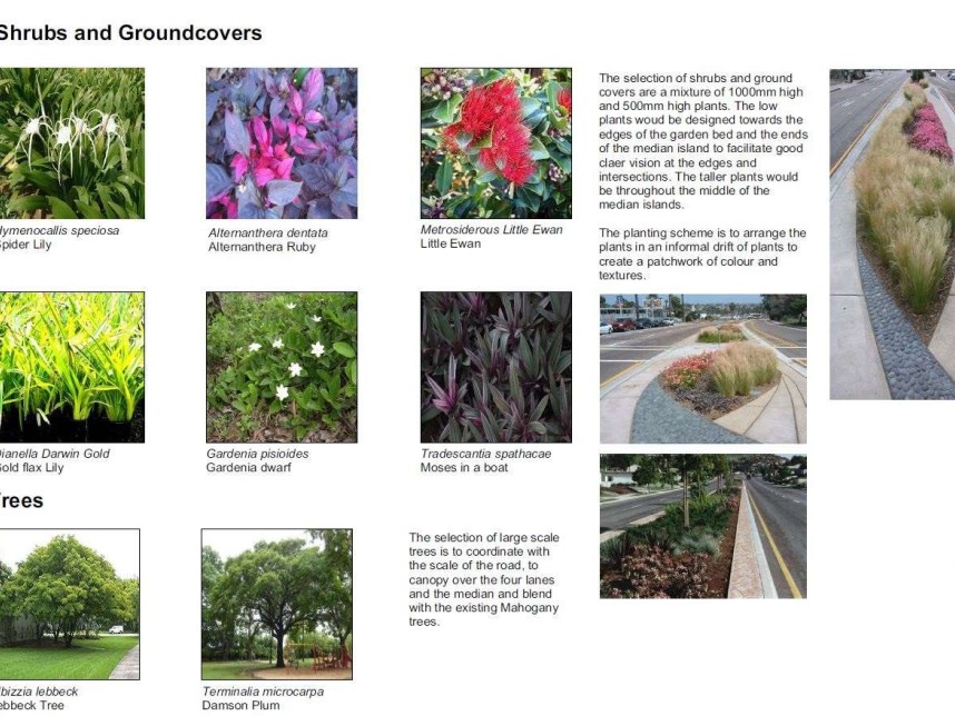 City of Darwin - Stage 2 Bradshaw Terrace Landscaping -  Gallery image