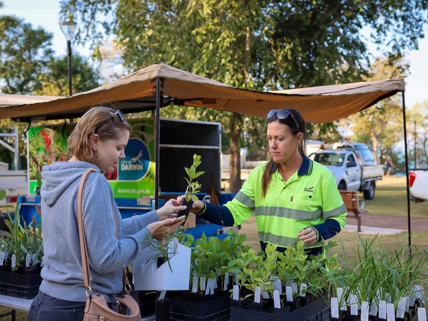 Plant Give Away Coconut Grove