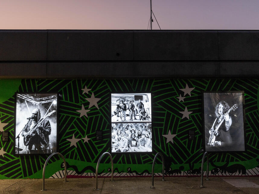 Lightboxes at night, Casuarina Library front wall