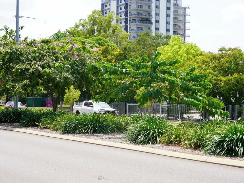 Daly Street Beautification_2024