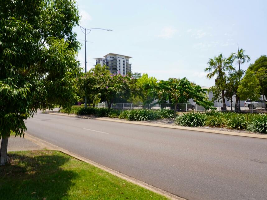 Daly Street Beautification_2024