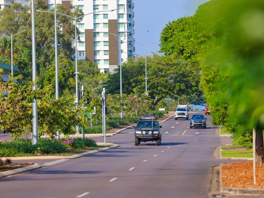 Daly Street Median Strip 2019 - View from Smith to Cavenagh Street