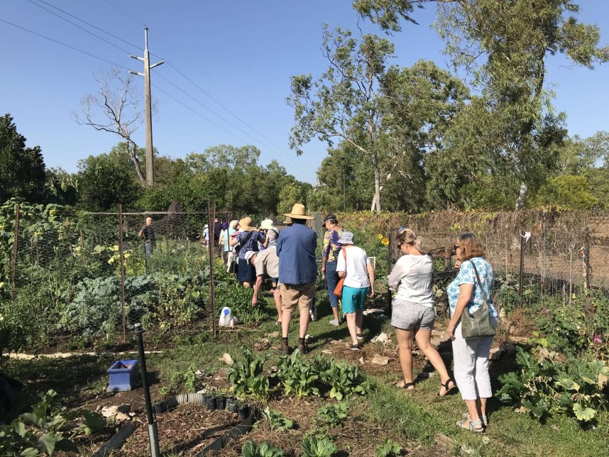 City of Darwin - Seniors Month - Jingili Community Garden Tour