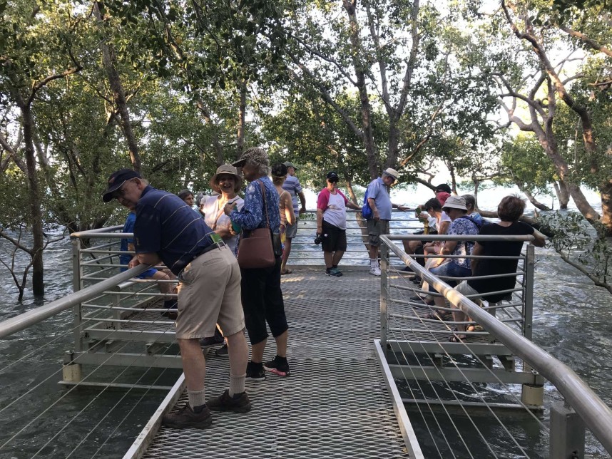 City of Darwin - Seniors Month - East Point Mangrove Boardwalk