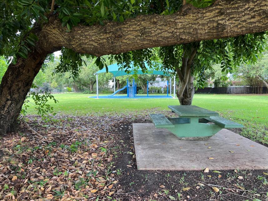 Bald Park Playground Picnic table