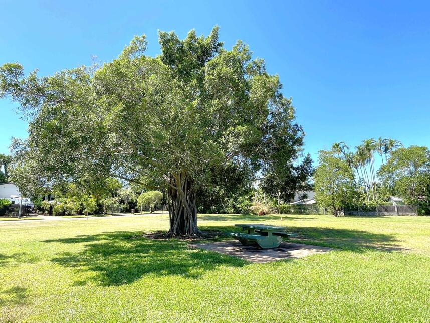 Picnic table under large shade tree