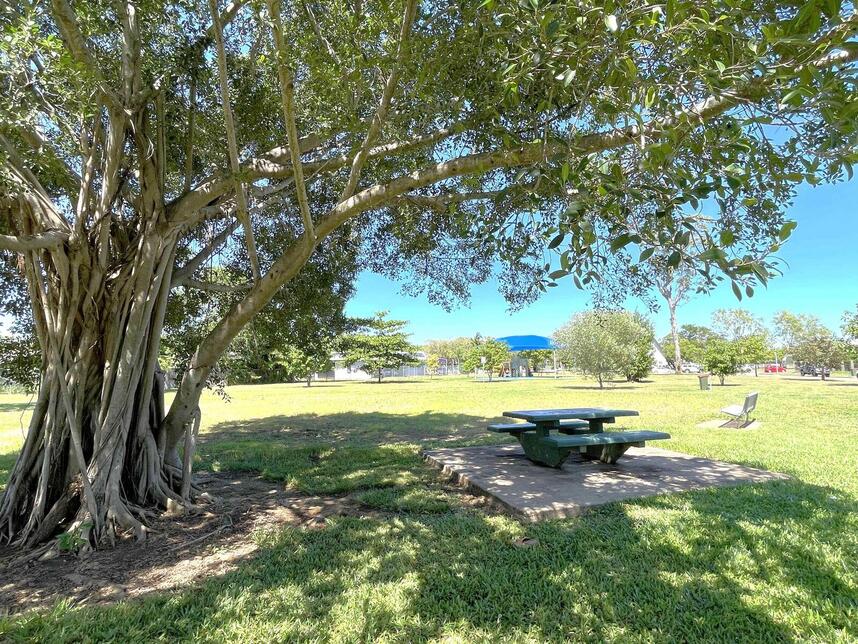 Overview of park - Picnic table under large shade tree, park bench, rubbish bin, open play space, shaded playground