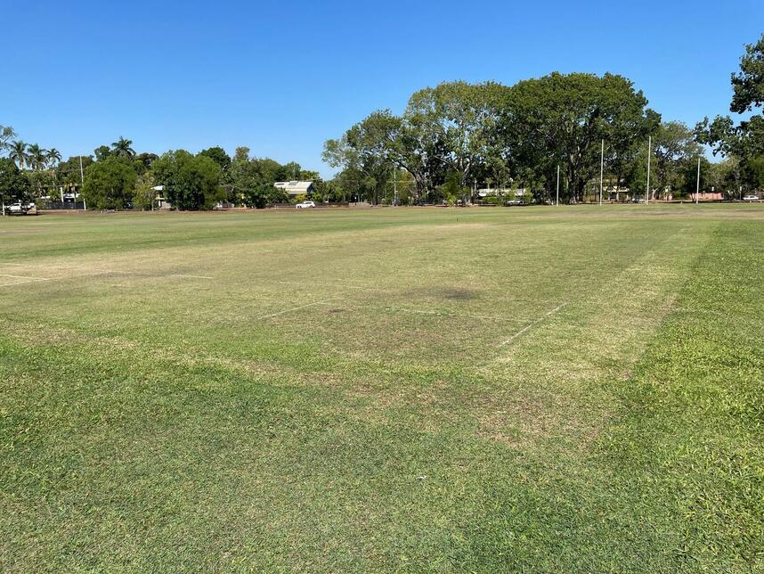 Alawa Oval Two turf wicket