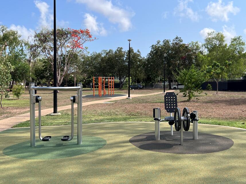 Robyn Lesley Park Exercise Station