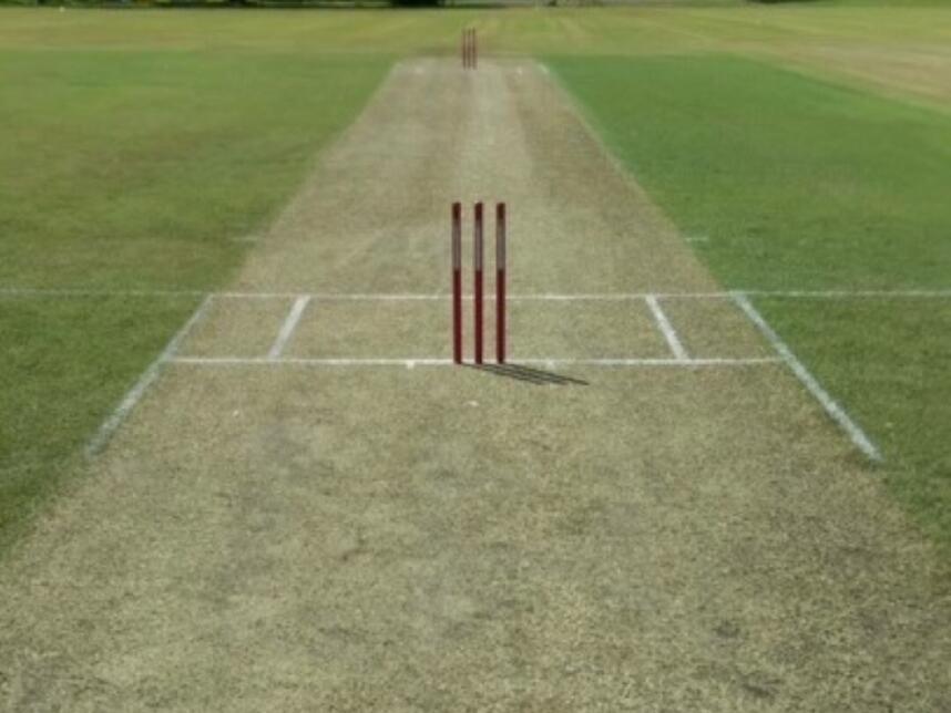 Kahlin Oval turf wicket