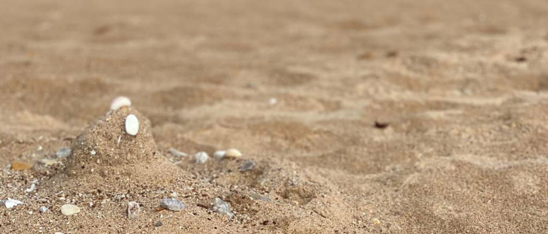 rocks on the beach