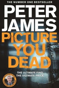 Picture You Dead Book Cover