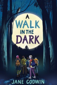 A Walk in the Dark Book Cover