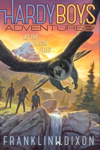 Hardy Boys Adventure: As the Falcon Flies Book Cover