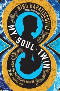 My Soul Twin Book Cover