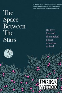 The space between the stars Book Cover