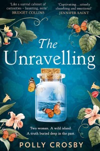The Unravelling Book Cover