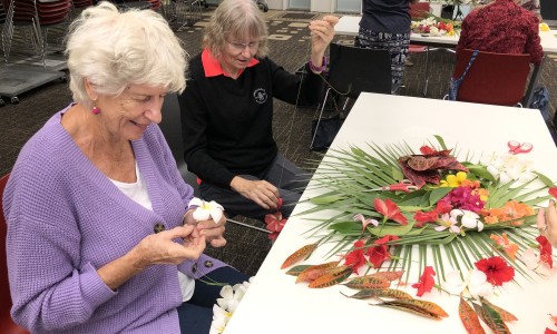 Action-packed Seniors Month ahead!