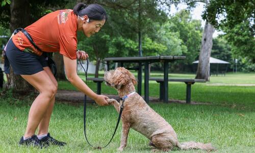 Dog trainer