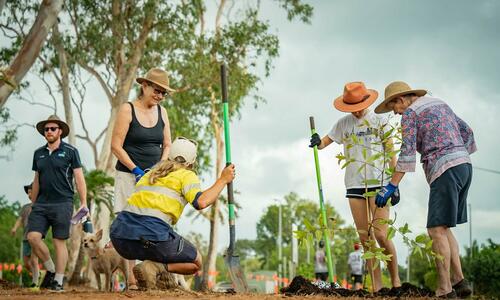 Community planting