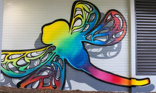 City of Darwin Libraries and LAUNCH Darwin are seeking young artists to work collaboratively on an original hand-painted mural inside the Casuarina Library youth area
