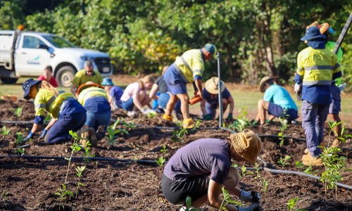 City of Darwin is holding a community planting day on Fitzer Drive, Ludmilla this Saturday 21 October 2023.