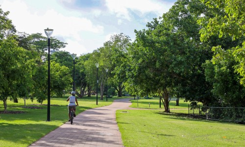 Mowing update across Darwin
