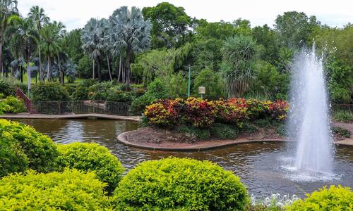 City of Darwin will soon start staged drainage works at Jingili Water Gardens to improve water flow and reduce stagnant water across the gardens.