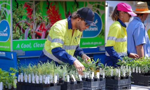 City of Darwin Native Plant Giveaway